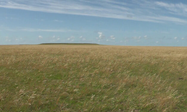 «Arrendamiento tierras 2020», serie «Precio de la Tierra».