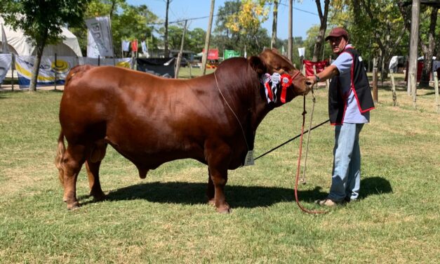 EXPO Brangus es en Tacuarembó – CONFIRMADO!!!