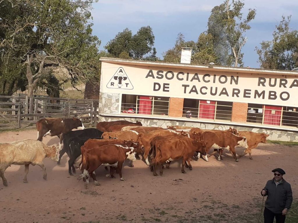 Asociación Rural de Tacuarembó