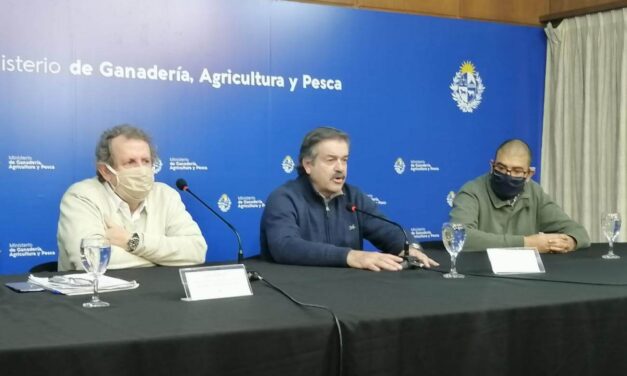 MGAP informa que se prorroga el plazo para realizar la Declaración Jurada de Dicose 2020 hasta el próximo viernes 7