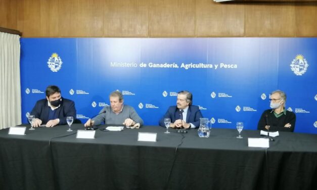 Stock de terneros alcanza cifra histórica al superar los 3 millones de ejemplares