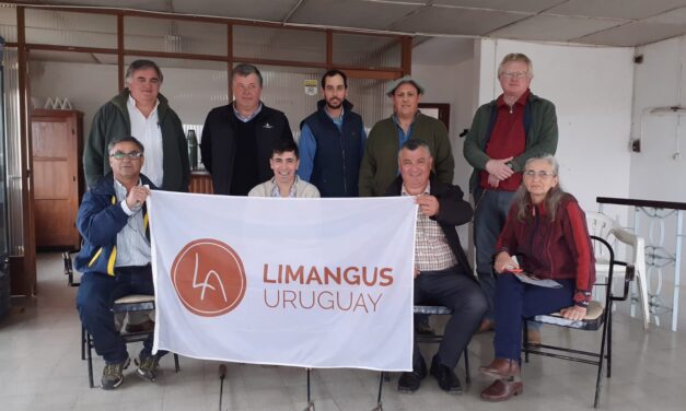 Criadores de Limangus en busca del P.I.
