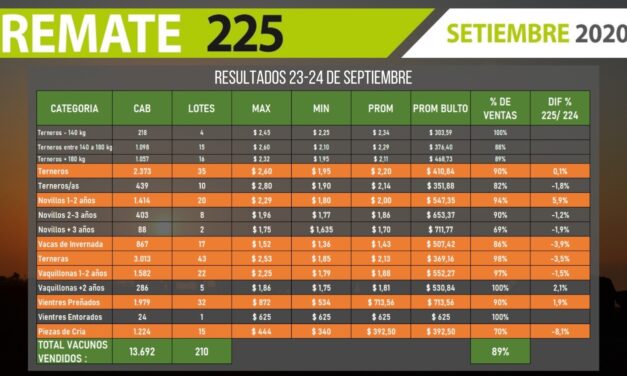 Plaza Rural vendió 13.692 vacunos, colocación de 89%.