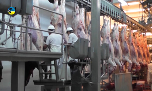 La Faena disminuyó un 15%.