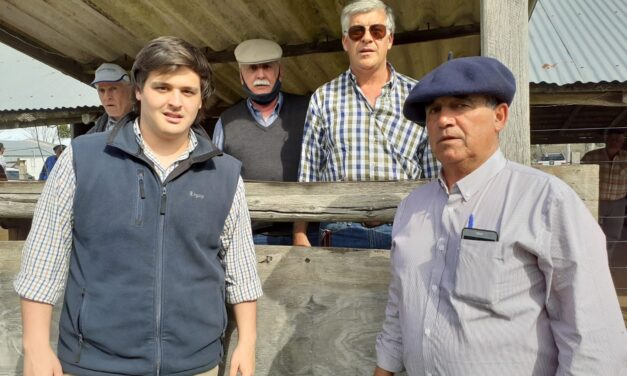 Paso Casildo : de acuerdo a los ganados, fueron los precios.