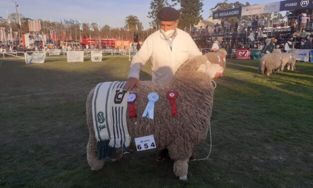 CORRIEDALE – Ganaron «San Gerardo» y «La Lucha».