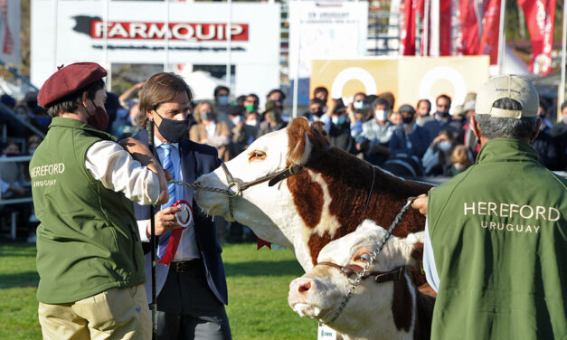 Presidente Lacalle Pou entregó los principales galardones a la producción ganadera nacional en la Rural del Prado.