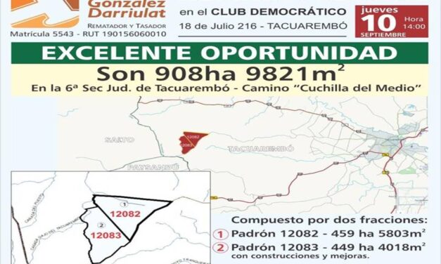 SE REMATÓ JUDICIAL CAMPO EN TACUAREMBÓ.