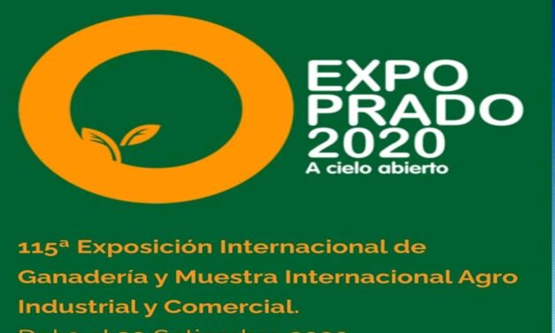 Dentro del movido ambiente político surge el Prado 2020.