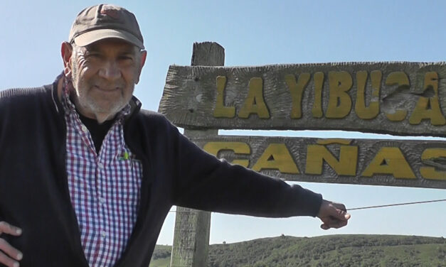 Brangus y Braford de la Yibuza – 10 de Octubre.