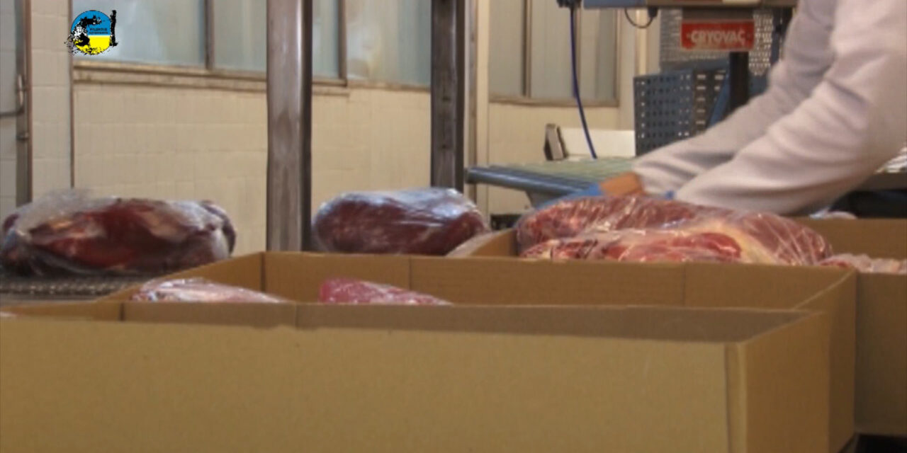 Exportaciones de Carne cayeron 19%.