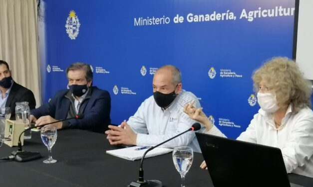 Aves – pérdidas económicas en la producción.