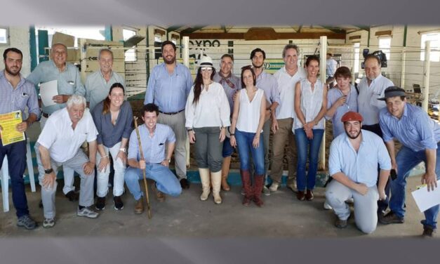 Escritorio Dutra remató «Toros en Tacuarembó».