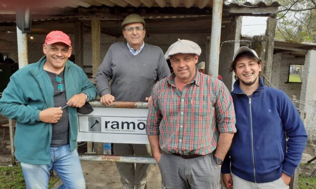 Feria Batoví, buena oferta de lanares y vacunos.