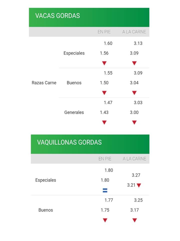 imagen valores de vacas y vaquillonas de los consignatarios