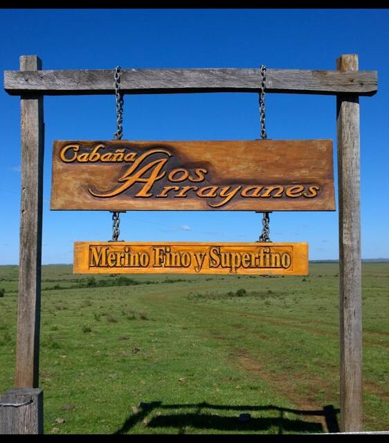 «Los Arrayanes» vendió 11.000 kg. de lana