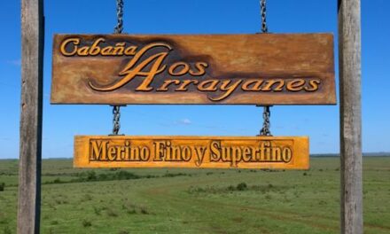«Los Arrayanes» vendió 11.000 kg. de lana