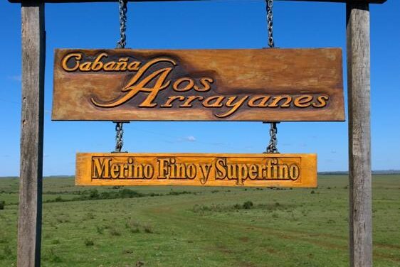 «Los Arrayanes» vendió 11.000 kg. de lana