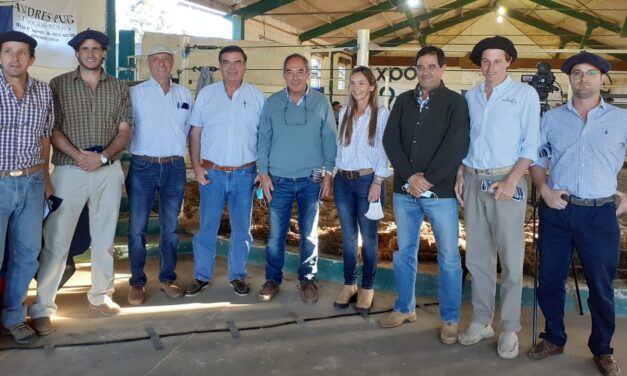 YAMAYO Gran demanda por toros y vientres.