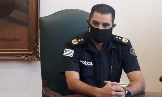 Corderos y lechones faenados en el campo