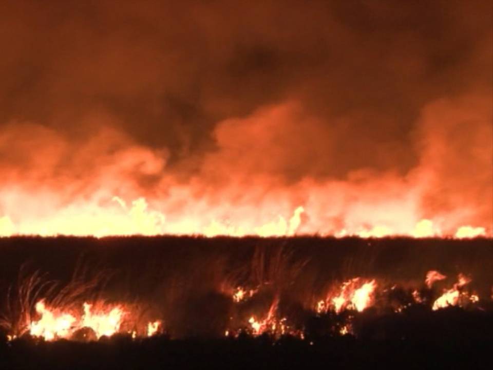 imagen fuego quema de campos