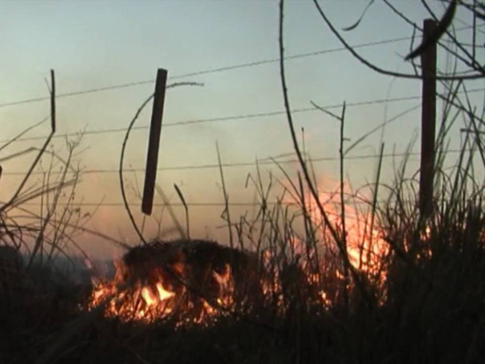 imagen de quema de campos