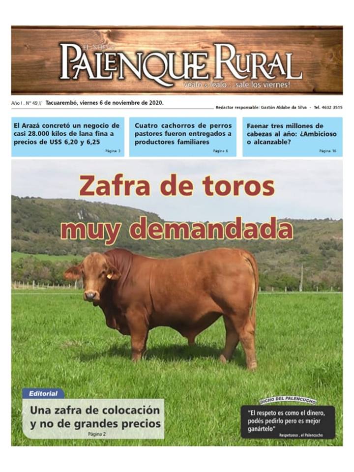 IMAGEN TAPA DE EL PALENQUE RURAL DIGITAL