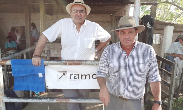Remate en Batoví, cambió el mercado