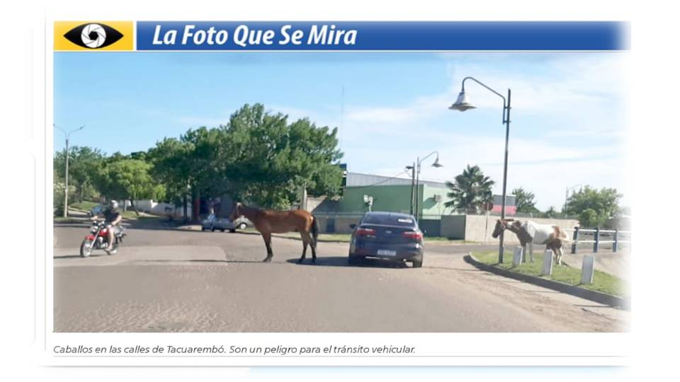 IMAGEN DE LA FOTO QUE SE MIRA DE EL PALENQUE RURAL DESPIDE EL AÑO