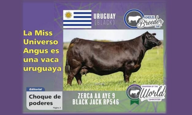 Palenque Rural y Miss Universo