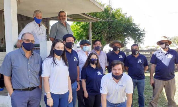 Remate Curtina: ventas totales al cerrar el año
