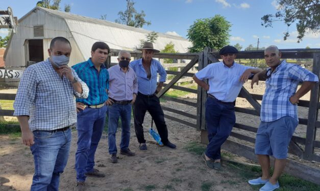 Remate en la Rural con buena demanda