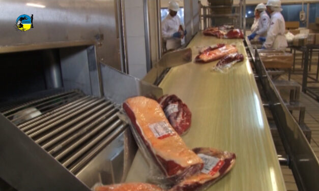 Exportación de carne vacuna 2020 bajó 11,5%