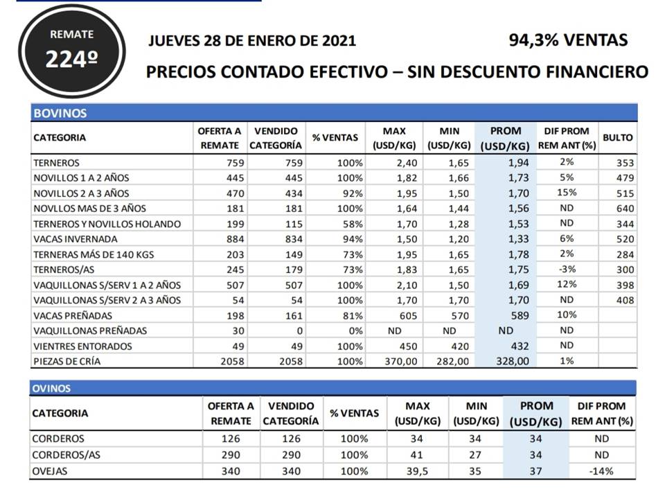 IMAGEN DE LA PLANILLA DE PRECIOS DEL REMATE DE PANTALLA URUGUAY COLOCÓ EL 94,3%