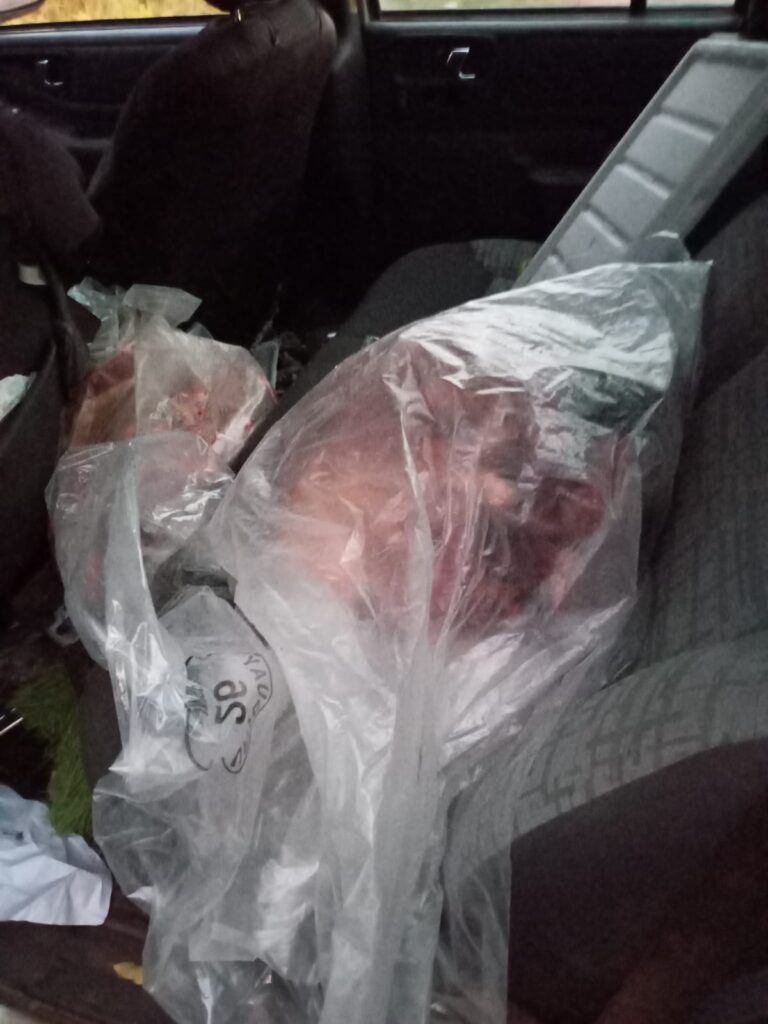 imagen de carne en bolsas