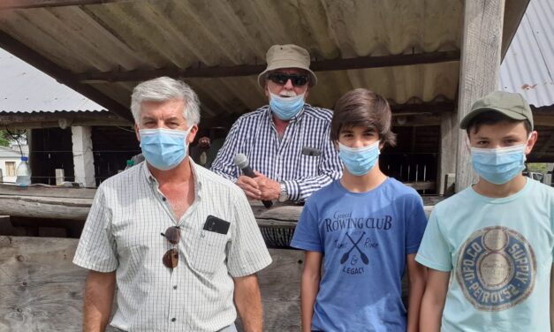 Remate Paso Casildo, De Palleja vendió todo