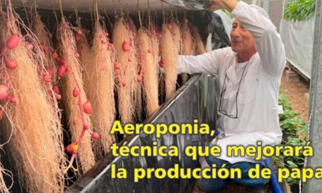El Palenque Rural: conozca la técnica Aeroponia