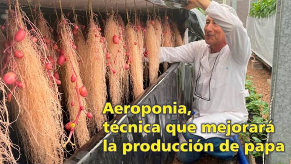 El Palenque Rural: conozca la técnica Aeroponia