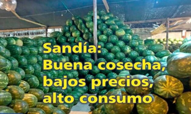 El Palenque Rural : Sandía alto consumo
