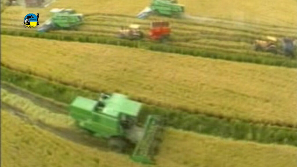 imagen de maquinas cosechando arroz