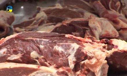 Carne Bovina alcanzó un valor de U$S 4.147