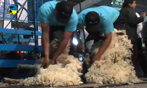 Mercado australiano otra suba importante