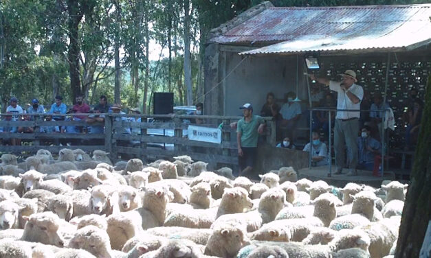 Remate Local Luján  ventas totales