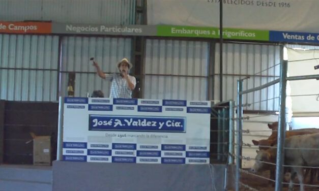 Remate Don Tito fue a todo galope