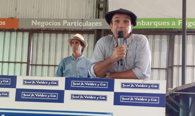 El Piramidal de Gambetta vendió 205 Carneros