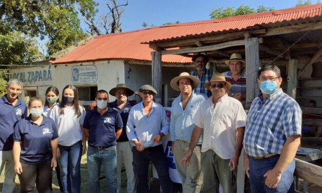 Remate Local Zapará: Piezas de Cría a U$S 398