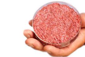 imagen de carne sintética el presidente de INAC