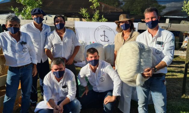 La Santigna vendió borrego a U$S 1.500