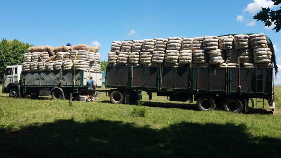imagen de camión cargado de lana sul informa negocios de lanas