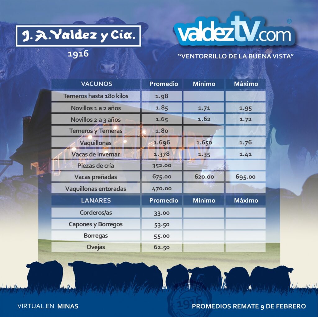 imagen de la planilla de precios de la primer pantalla de valdez del 2021